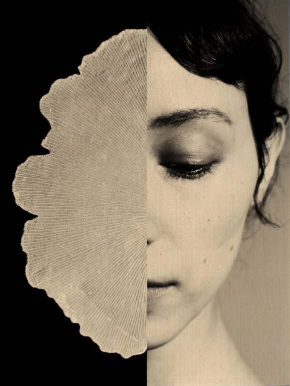 © Paul Cupido