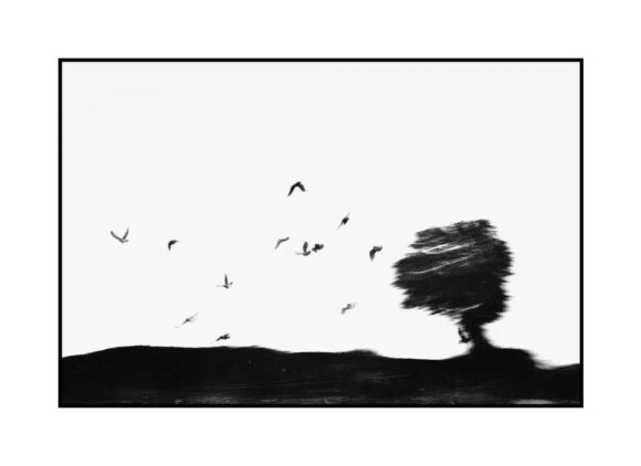 © Raphaël Tamburrini