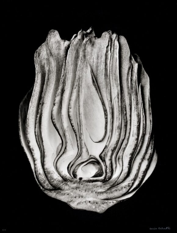 © Denis Brihat