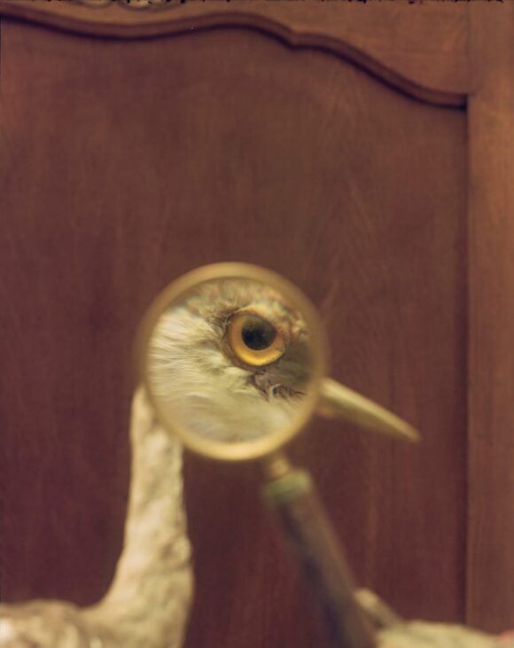 © Henri Kisielewski