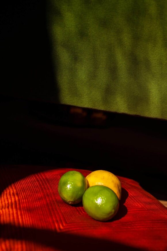 © Marguerite Bornhauser / Carlos Carvalho