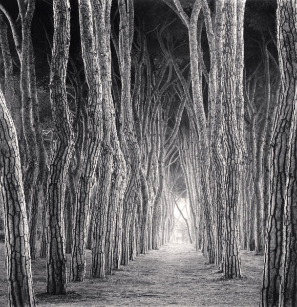 © Michael Kenna