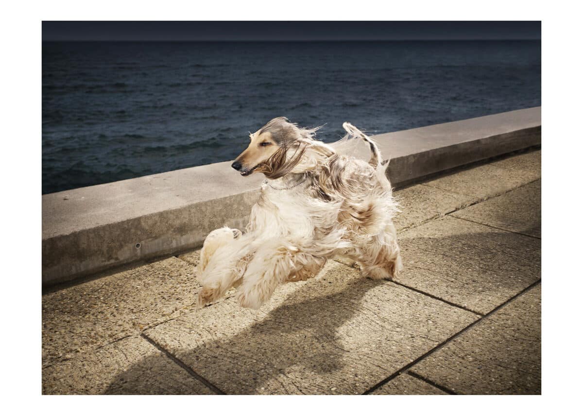 © Olivier Metzger / Modds