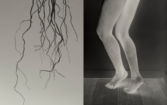 © Sayuri Ichida