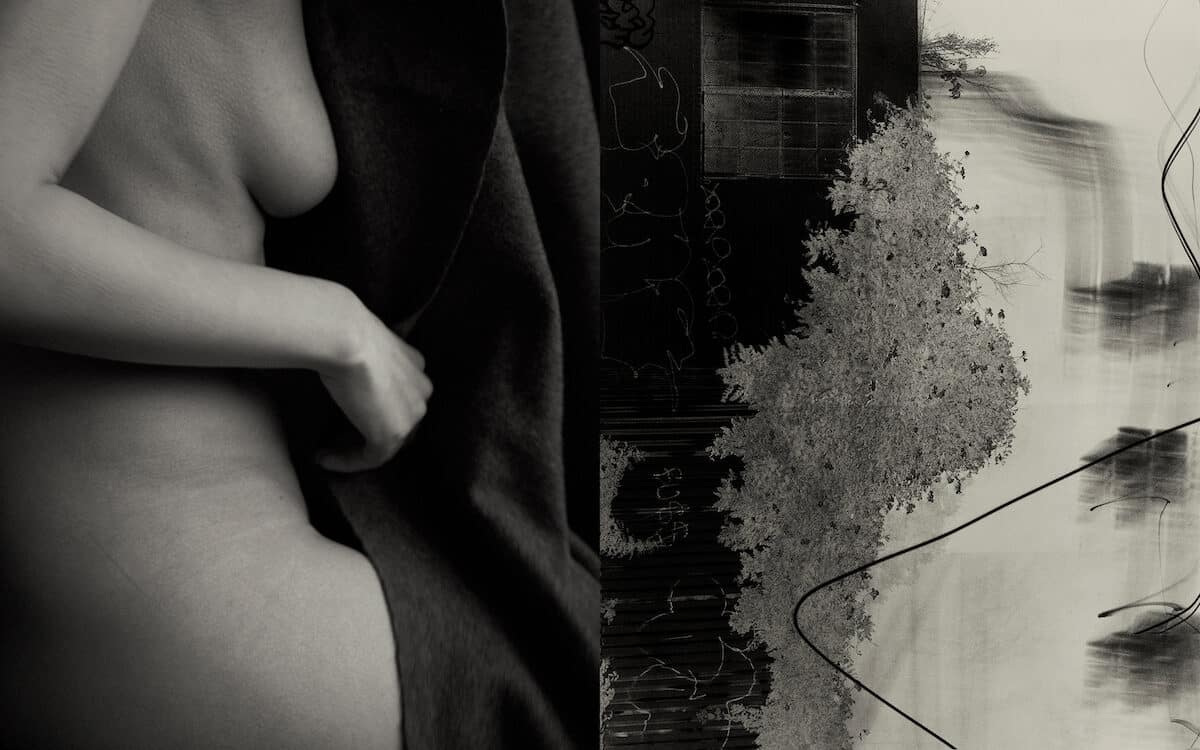 © Sayuri Ichida