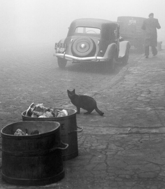 © Sabine Weiss