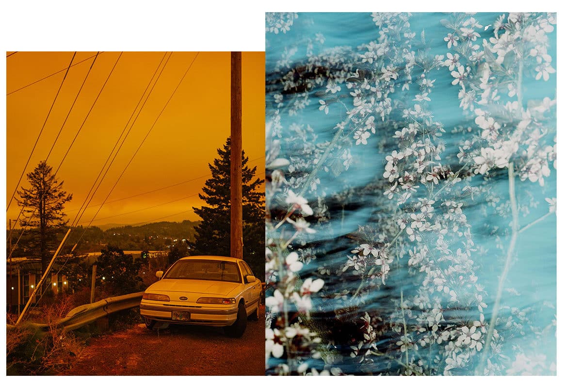 © Will Matsuda