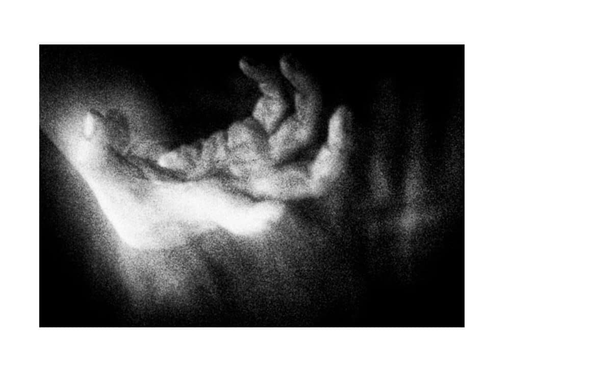 © Alexandre Dupeyron