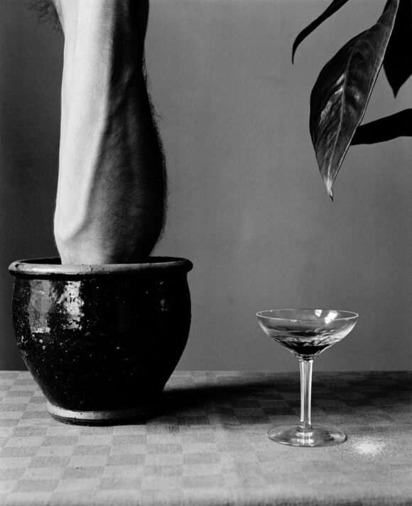 © Philip Provily