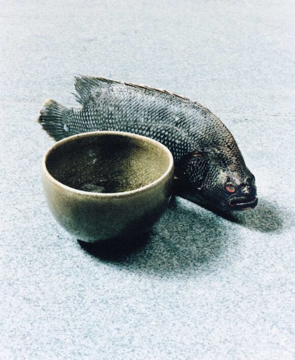 © Naohiro Harada