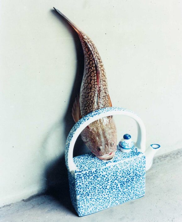 © Naohiro Harada