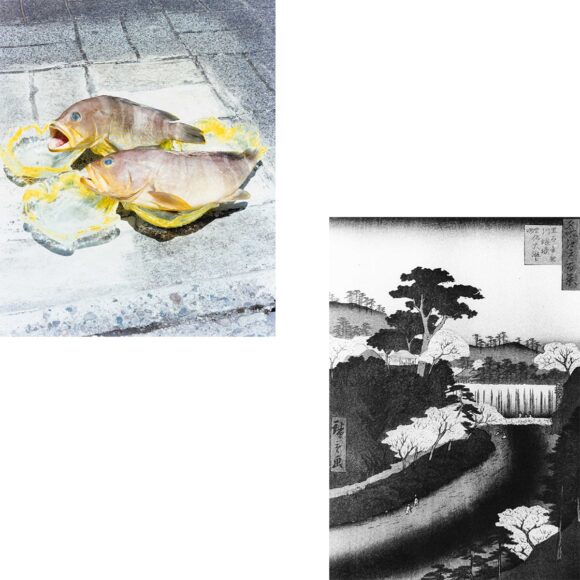 © Naohiro Harada