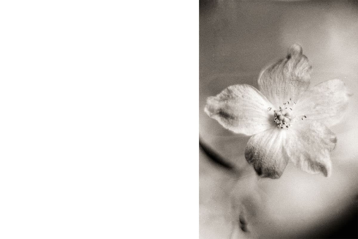 © Earl Standerford
