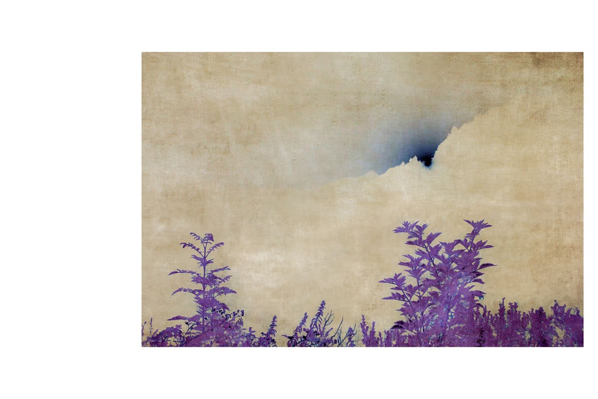 © Julie Arnoux