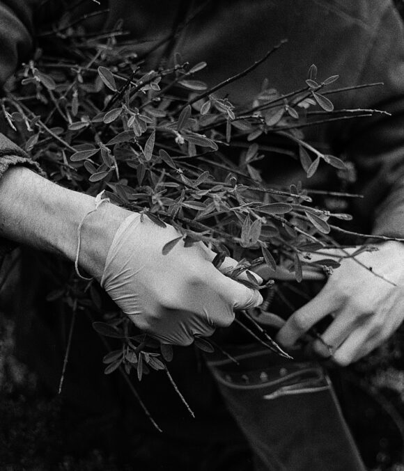 © Coline Jourdan