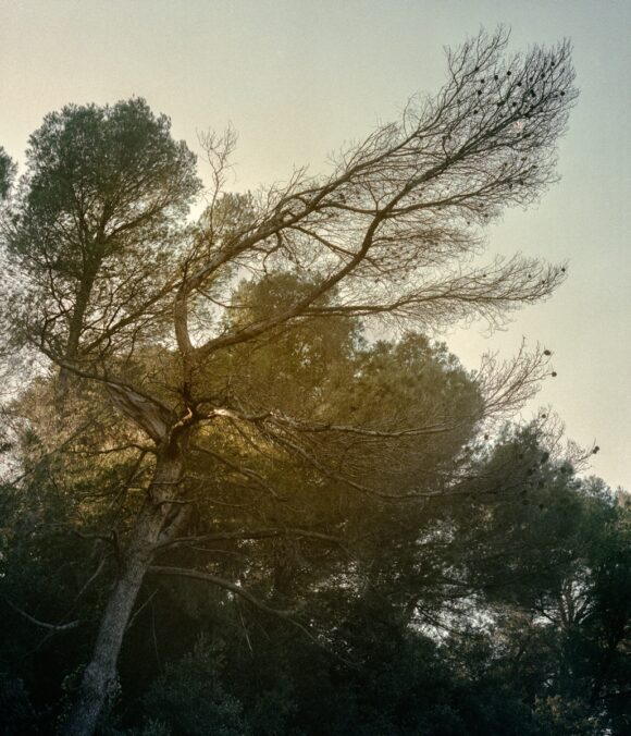 © Coline Jourdan
