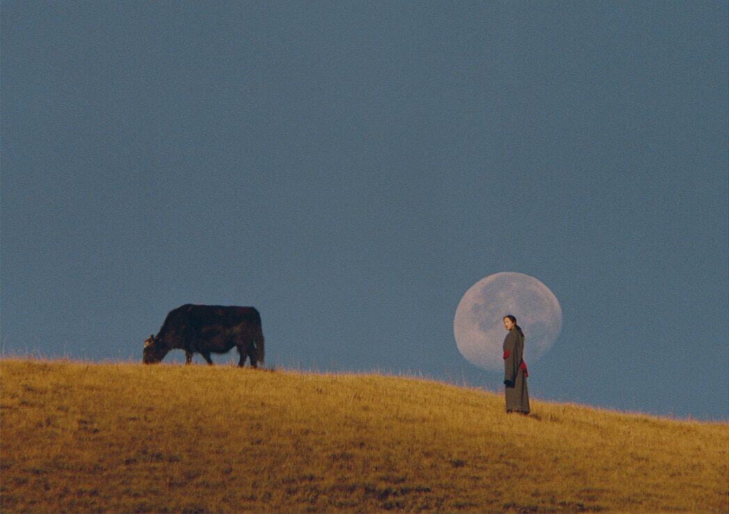 © Kin Coedel
