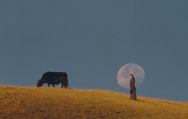© Kin Coedel