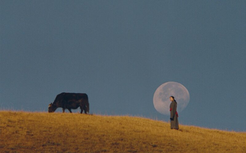 © Kin Coedel