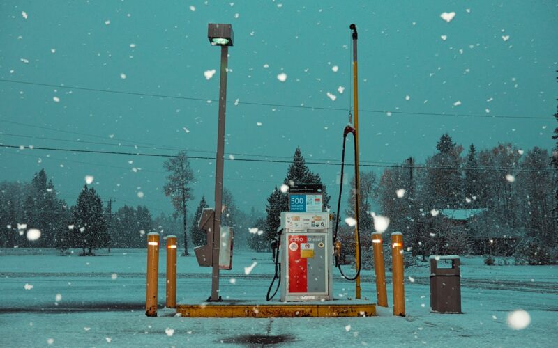 © Kourtney Roy / Courtesy Galerie Les filles du Calvaire, Paris