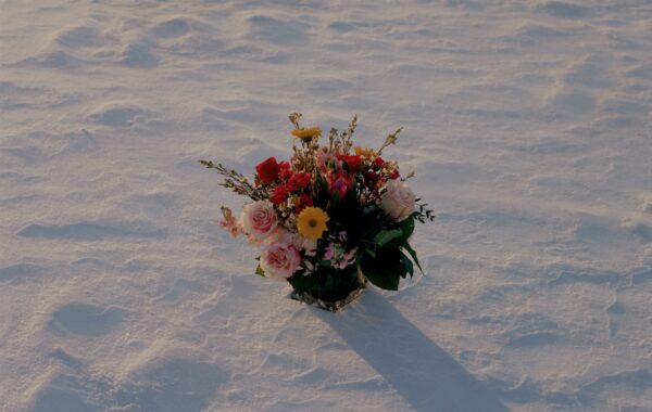 © Meghan Marin