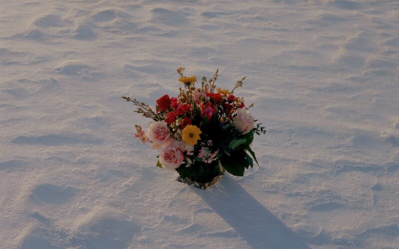 © Meghan Marin