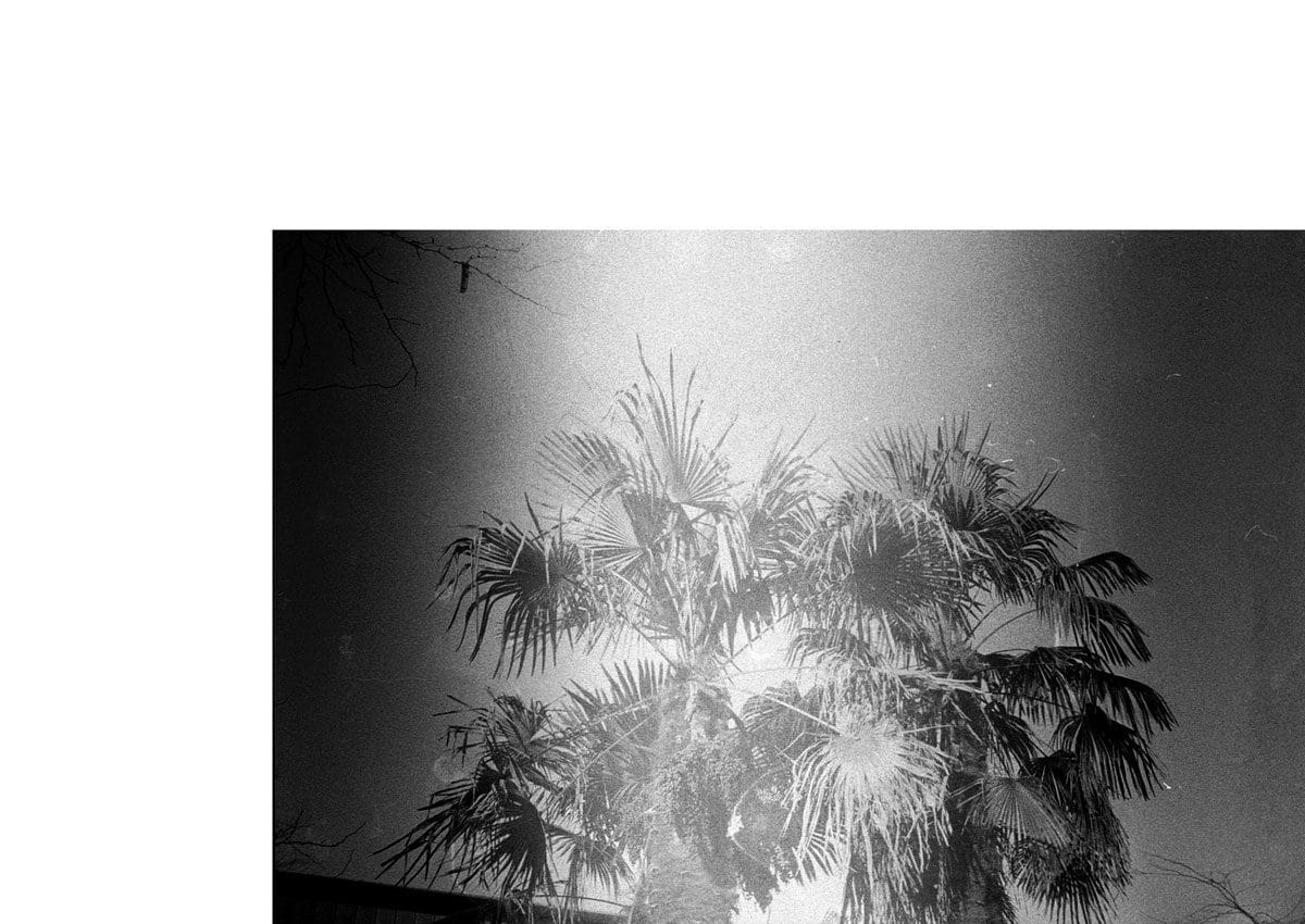 © Mip Pava