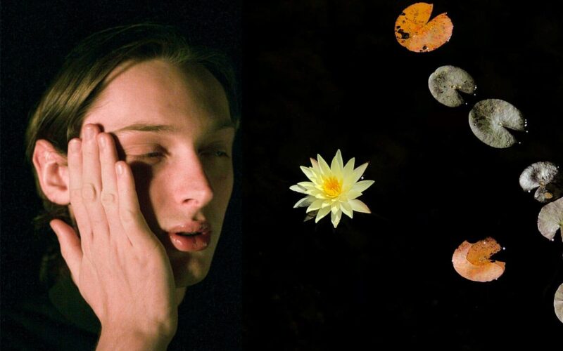 © Ivy Rose Carr