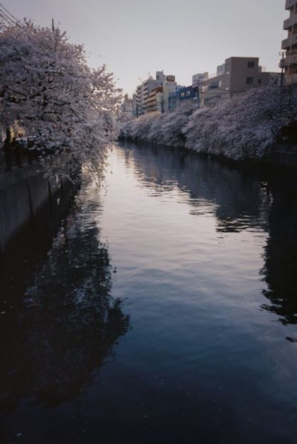 © Keiko Nomura