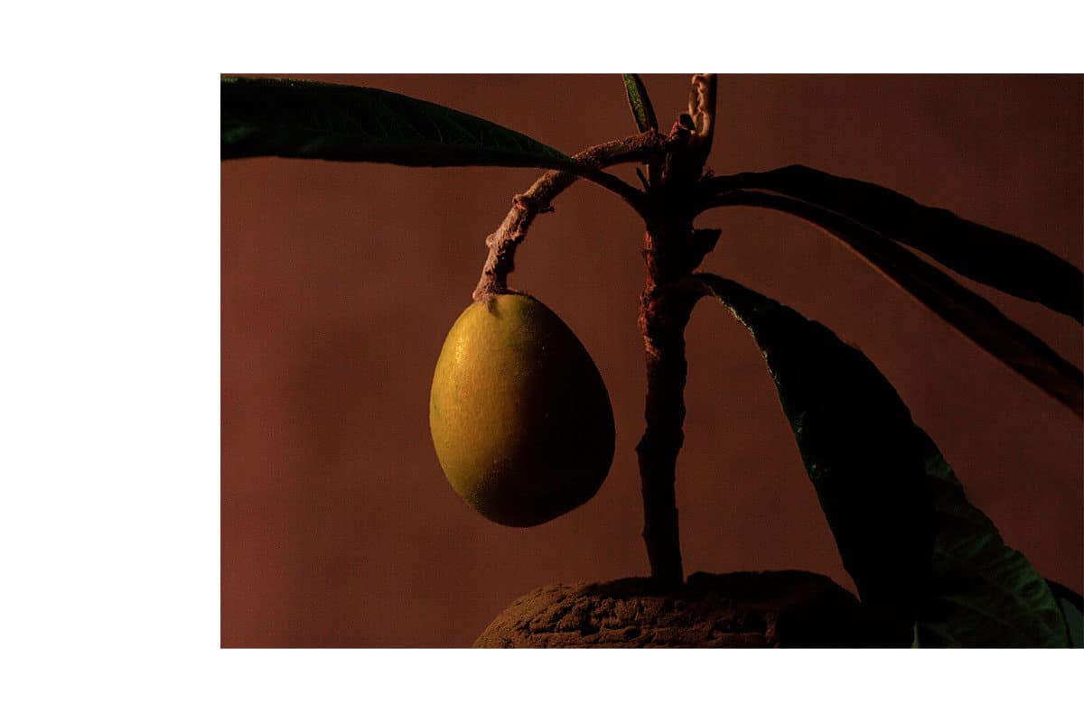 © Maewenn Bourcelot