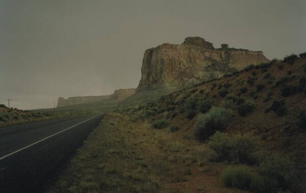 © Matt Wilson