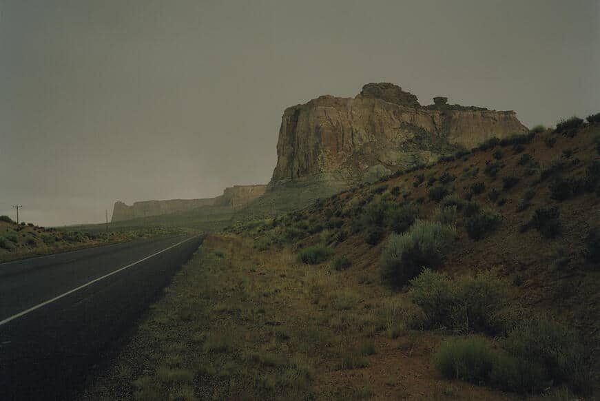 © Matt Wilson