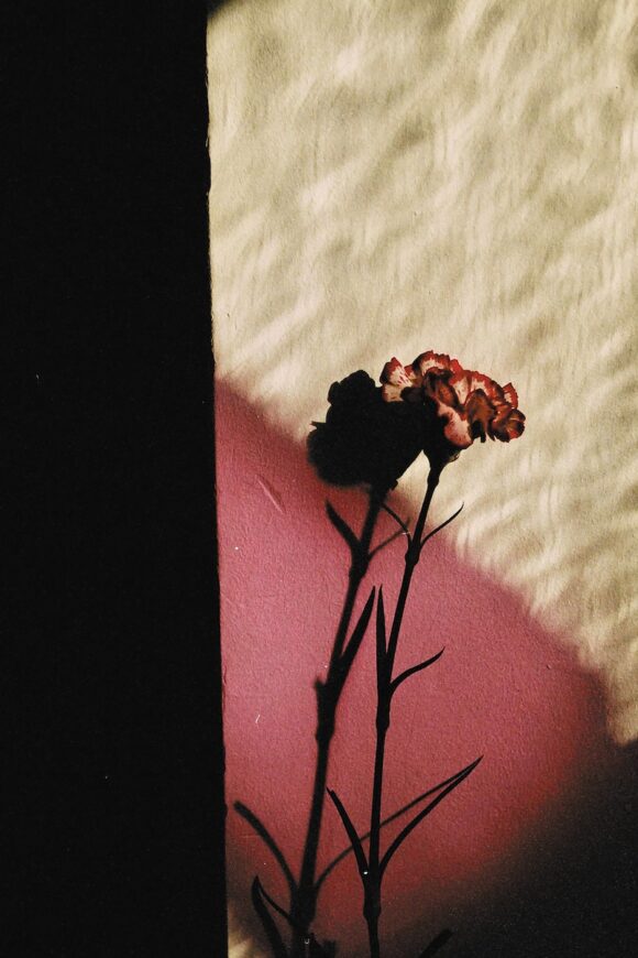 © Naomi Pecqueux