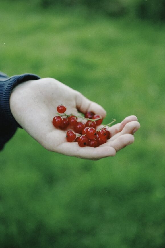 © Naomi Pecqueux