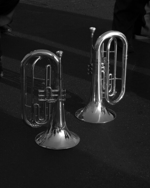 © Daniel Ribar