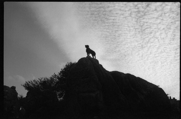 © Anne-Charlotte Henry