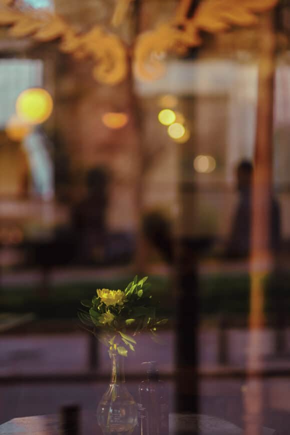 © Marina Nota
