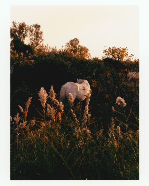 © Maxime Frogé