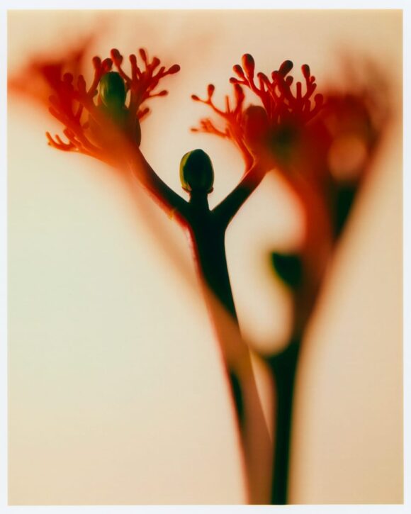 © Maxime Frogé