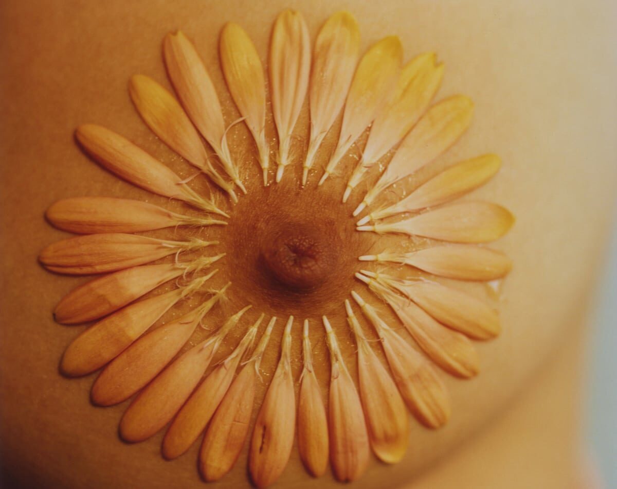 © Karen Pauline Biswell, Courtesy de l'artiste et de la galerie Intervalle