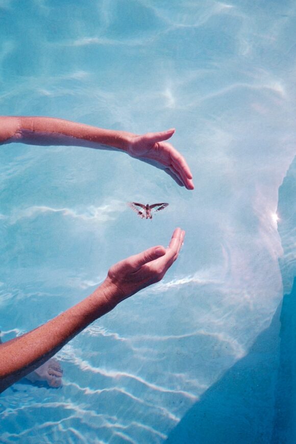 © Nick Prideaux