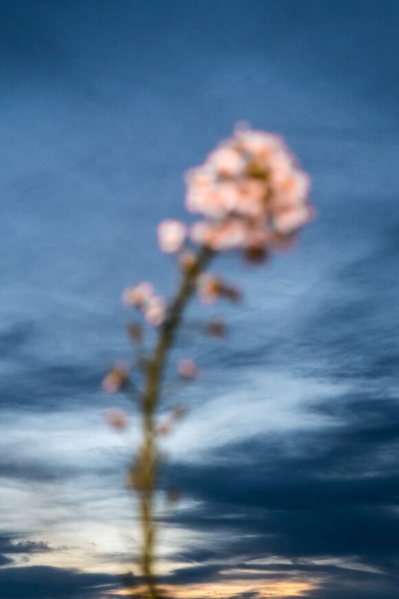 © Nicolas Hrycaj