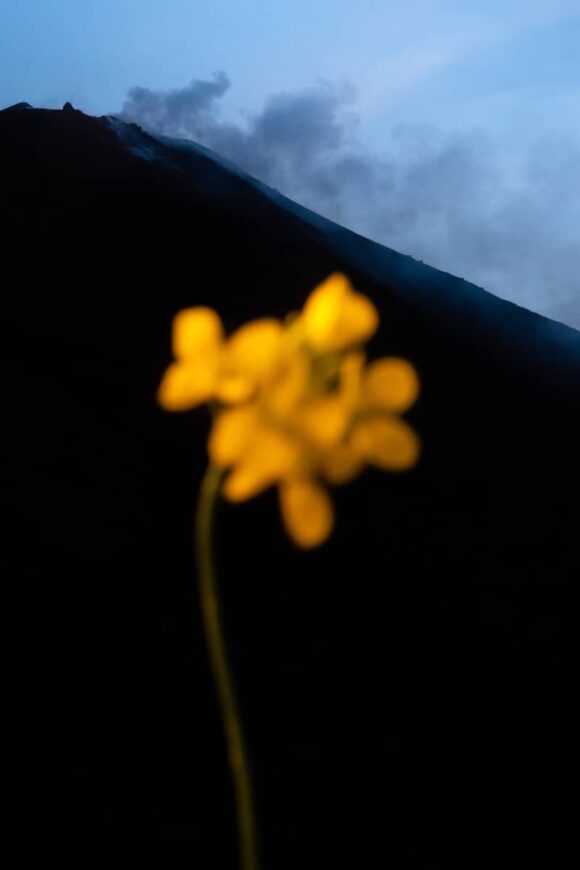 © Nicolas Hrycaj