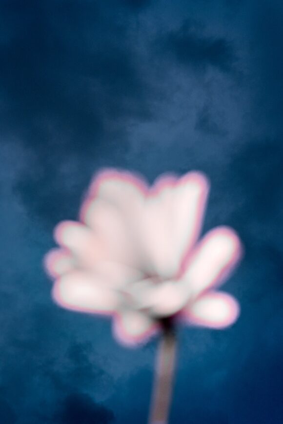 © Nicolas Hrycaj