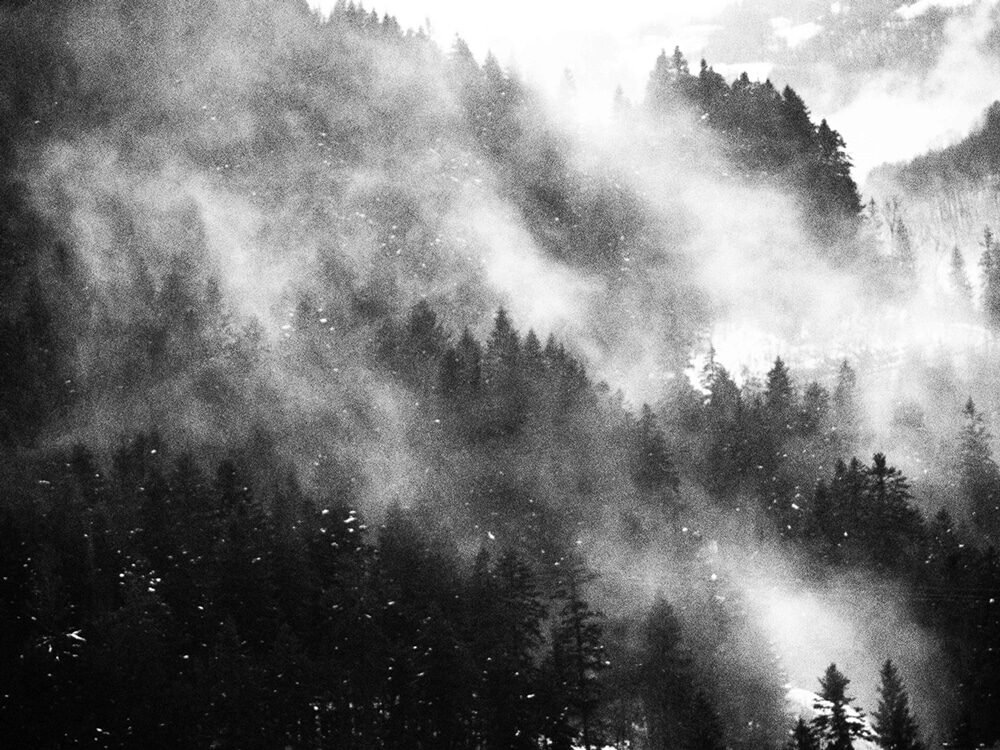 © Sarah Moon