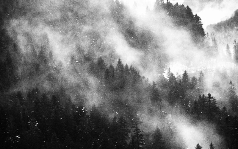 © Sarah Moon