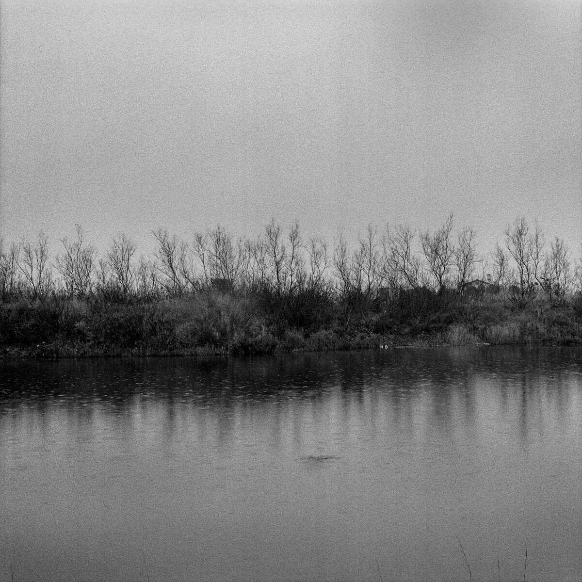 © William Guidarini, "Venise et ses îles"