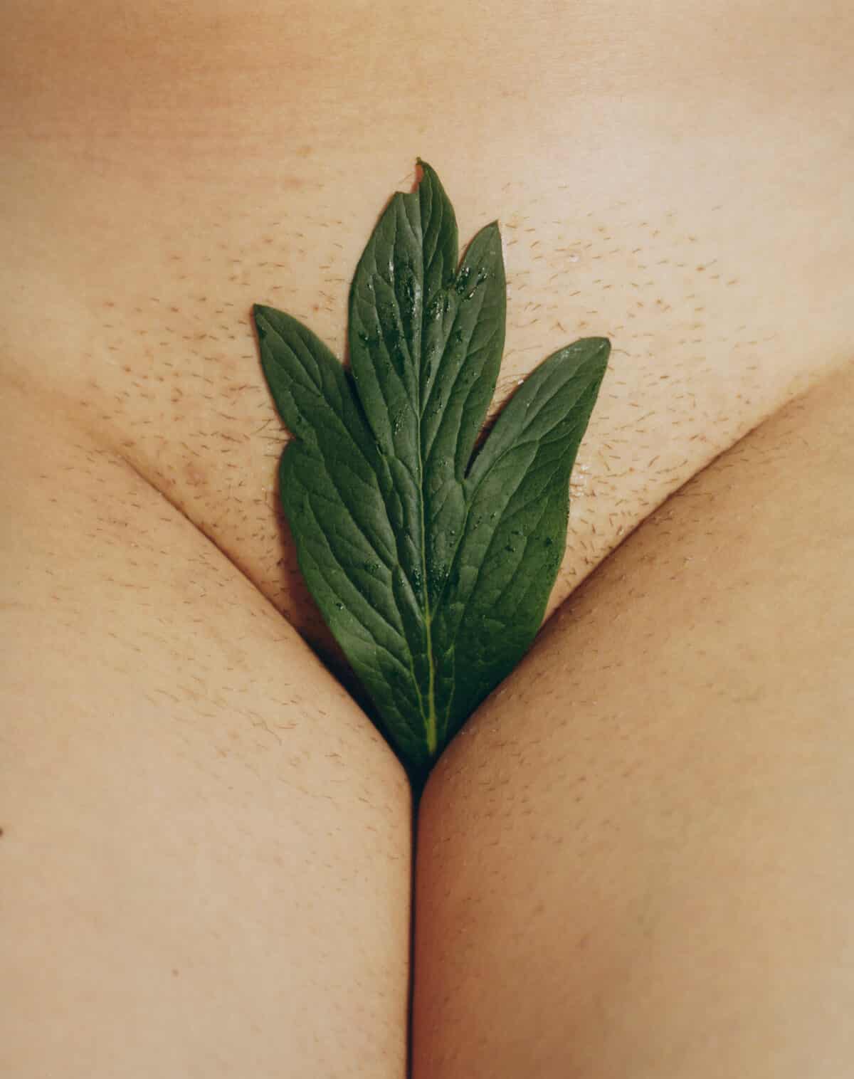 © Karen Pauline Biswell, Courtesy de l'artiste et de la galerie Intervalle