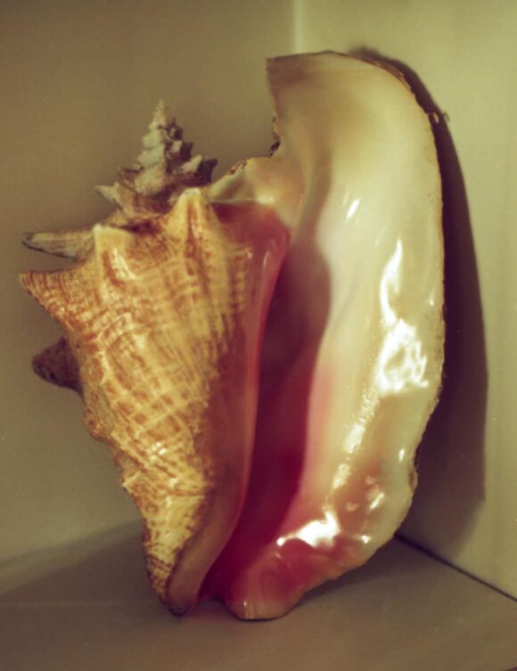 © Sidonie Ronfard