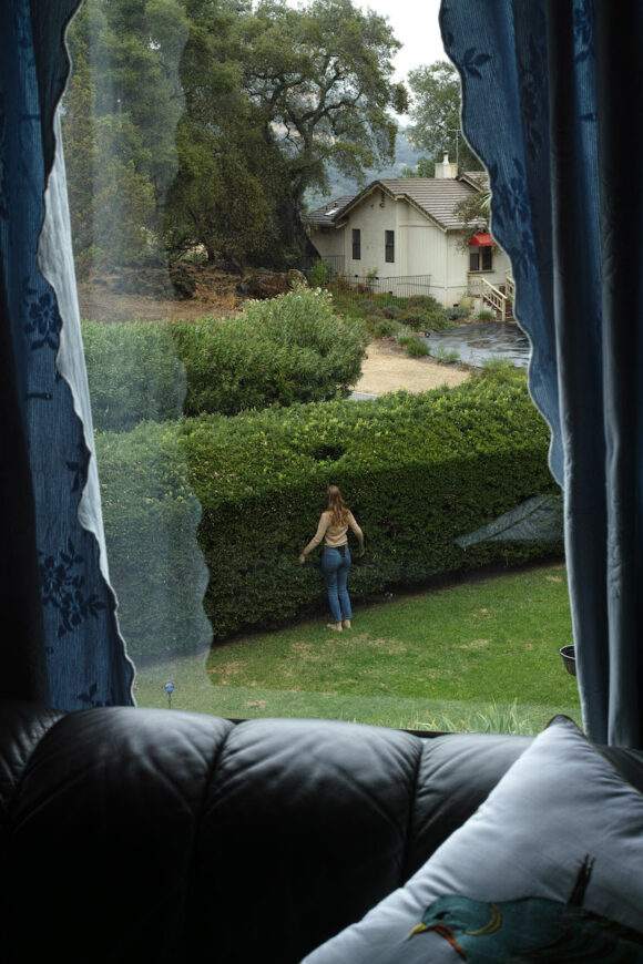 © Elizabeth Hibbard